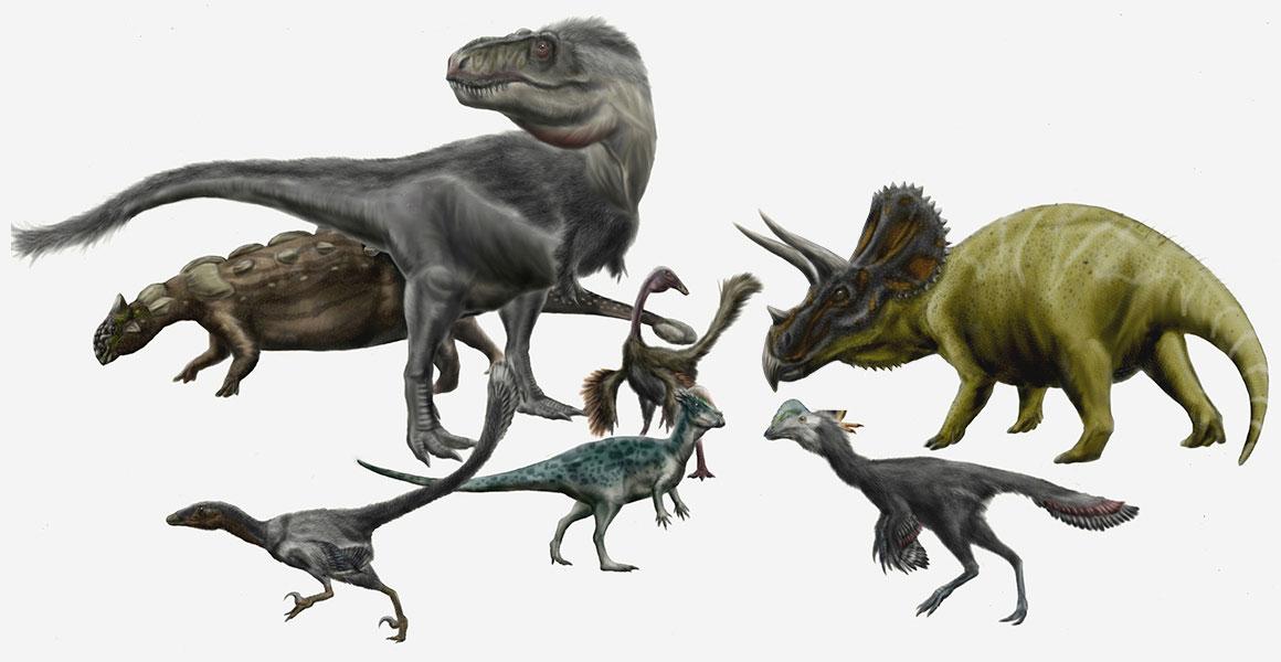 Dinosaurs!