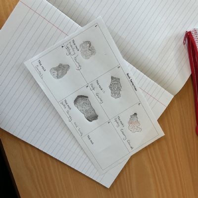 Observing rocks