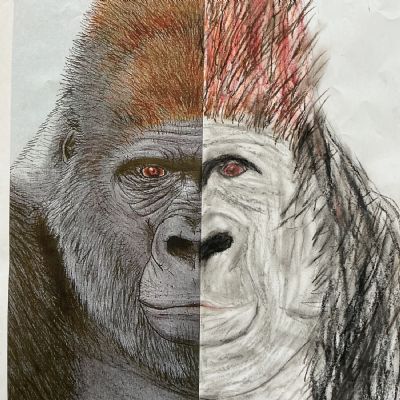 Attenborough Inspired Artwork