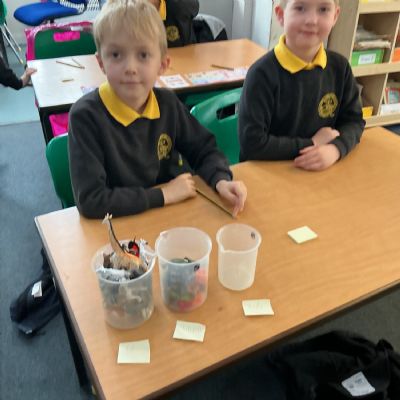 Capacity and Volume Learning