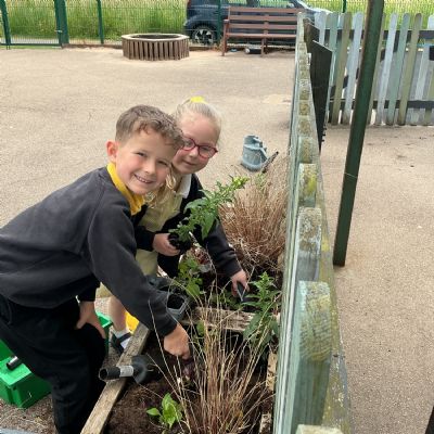 Planting
