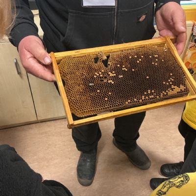 Beekeeper Visit